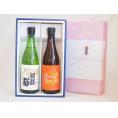 贈り物 日本酒2本セット(金鯱酒造 ひやおろし本醸造 初夢桜純米酒720ml×2本)