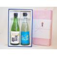 贈り物 日本酒2本セット(金鯱酒造初夢桜純米酒 山田錦吟醸原酒720ml×2本)