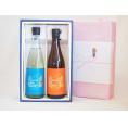 贈り物 日本酒2本セット(金鯱酒造 新米新酒 山田錦吟醸原酒720ml)