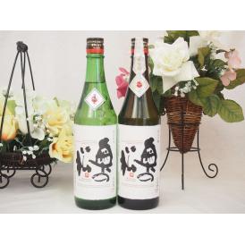 贈り物セット 日本酒2本セット(奥の松酒造 特別純米720ml 純米吟醸720ml)