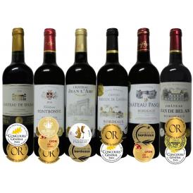 ALLダブル金賞受賞　フランスボルドー赤ワイン6本セット 赤ワインセット ソムリエ厳選 750ml×6本