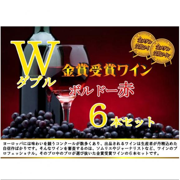 ALLダブル金賞受賞　フランスボルドー赤ワイン6本セット 赤ワインセット ソムリエ厳選 750ml×6本04