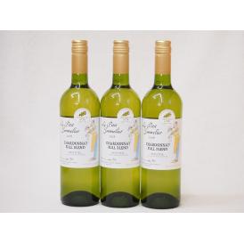 フランス金賞白ワイン ル プティソムリエシャルドネ2018年 やや辛口 750ml×4本