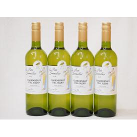 フランス金賞白ワイン ル プティソムリエシャルドネ2018年 やや辛口 750ml×5本