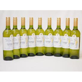 フランス金賞白ワイン ル プティソムリエシャルドネ2018年 やや辛口 750ml×10本