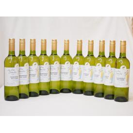 フランス金賞白ワイン ル プティソムリエシャルドネ2018年 やや辛口 750ml×12本