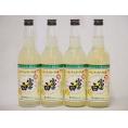 レモン酎ハイの素 富士白 25度 中野BC(和歌山県)600ml×4