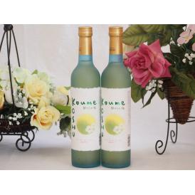 ワイナリーがつくった梅酒です 甲州小梅(山梨県)500ml×2