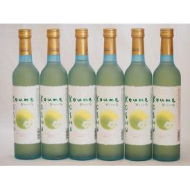 ワイナリーがつくった梅酒です 甲州小梅(山梨県)500ml×6