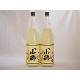 すっぱドライ サワー専用 ゆずレモン 25度 小鶴醸造(鹿児島県)1800ml×2