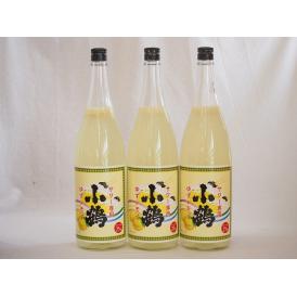 すっぱドライ サワー専用 ゆずレモン 25度 小鶴醸造(鹿児島県)1800ml×3