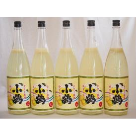 すっぱドライ サワー専用 ゆずレモン 25度 小鶴醸造(鹿児島県)1800ml×5