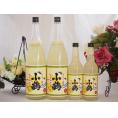 すっぱドライ サワー専用 ゆずレモン大小4本セット 25度 小鶴醸造(鹿児島県)1800ml×2 600ml×2