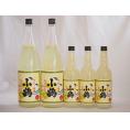 すっぱドライ サワー専用 ゆずレモン大小5本セット 25度 小鶴醸造(鹿児島県)1800ml×2 600ml×3
