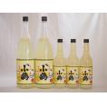 すっぱドライ サワー専用 ゆずレモン大小5本セット 25度 小鶴醸造(鹿児島県)1800ml×2 600ml×3