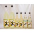 レモンチューハイの素大小6本セット 25度 小鶴 富士白 1800ml×2 600ml×4