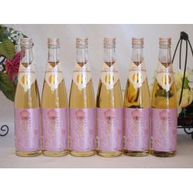 モンドセレクション金賞受賞蔵 天空の月 樽熟梅酒 老松酒造(大分県)500ml×6