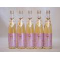 モンドセレクション金賞受賞蔵 天空の月 樽熟梅酒 老松酒造(大分県)500ml×5