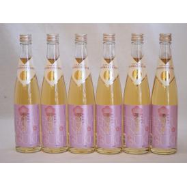 モンドセレクション金賞受賞蔵 天空の月 樽熟梅酒 老松酒造(大分県)500ml×6