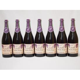 蒼龍葡萄酒 スパークリングワイン マディルージュ 赤中口 (山梨県)750ml×7