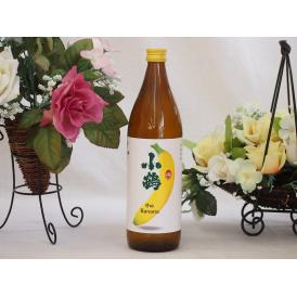 バナナの香りの本格焼酎 小正醸造 小鶴 the Banana 芋焼酎 25度 900ml(鹿児島県)