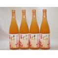 4本セット 高千穂酒造 本格焼酎に漬け込んだ濃厚梅酒 熟成梅酒(宮崎県) 720ml×4本