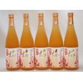 5本セット 高千穂酒造 本格焼酎に漬け込んだ濃厚梅酒 熟成梅酒(宮崎県) 720ml×5本