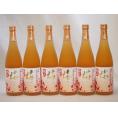 6本セット 高千穂酒造 本格焼酎に漬け込んだ濃厚梅酒 熟成梅酒(宮崎県) 720ml×6本