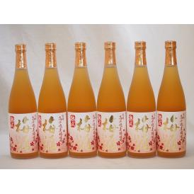 6本セット 高千穂酒造 本格焼酎に漬け込んだ濃厚梅酒 熟成梅酒(宮崎県) 720ml×6本