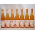 7本セット 高千穂酒造 本格焼酎に漬け込んだ濃厚梅酒 熟成梅酒(宮崎県) 720ml×7本