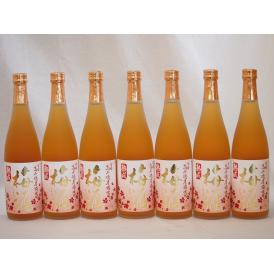 7本セット 高千穂酒造 本格焼酎に漬け込んだ濃厚梅酒 熟成梅酒(宮崎県) 720ml×7本