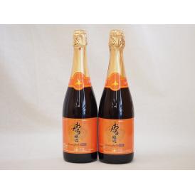 おたる醸造 キャンベルアーリスパークリングレッドワイン赤 やや甘口(北海道) 720ml×2