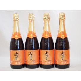 おたる醸造 キャンベルアーリスパークリングレッドワイン赤 やや甘口(北海道) 720ml×4