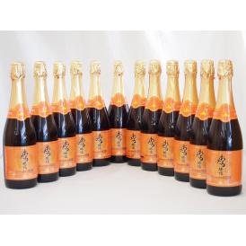 おたる醸造 キャンベルアーリスパークリングレッドワイン赤 やや甘口(北海道) 720ml×12