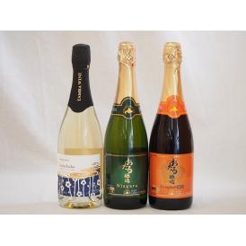 国産甘口パークリング白赤ワイン3本セット(ナイアガラ キャンベルアーリ(北海道)梅わいん(京都府)) やや甘口 720ml×3