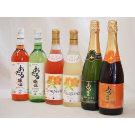 北海道おたるスペシャルワイン6本セット(やや甘口白、やや甘口ロゼ、やや甘口赤)720ml×6本
