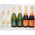 北海道おたるスペシャルワイン6本セット(やや甘口白)500ml×2本 720ml×4本
