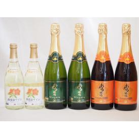 北海道おたるスペシャルワイン6本セット(やや甘口白)500ml×2本 720ml×4本