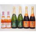北海道おたるスペシャルワイン6本セット(やや甘口白)500ml×2本 720ml×4本