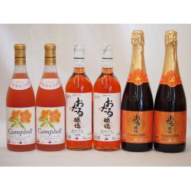 北海道おたるスペシャルワイン6本セット(やや甘口ロゼ赤)720ml×6本