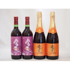 北海道おたるスペシャルワイン4本セット(やや甘口赤 辛口赤)720ml×4本