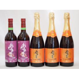 北海道おたるスペシャルワイン5本セット(やや甘口赤 辛口赤)720ml×5本
