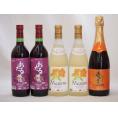 北海道おたるスペシャルワイン5本セット(やや甘口赤 辛口赤)720ml×5本