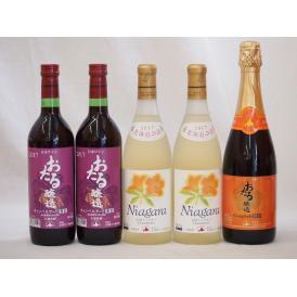 北海道おたるスペシャルワイン5本セット(やや甘口赤 辛口赤)720ml×5本