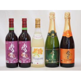 北海道おたるスペシャルワイン5本セット(やや甘口 辛口赤)720ml×5本
