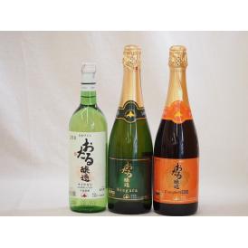 北海道おたるスペシャルワイン3本セット(やや甘口)720ml×3本