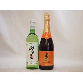 北海道おたるスペシャルワイン2本セット(やや甘口)720ml×2本