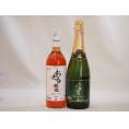 北海道おたるスペシャルワイン2本セット(やや甘口)720ml×2本