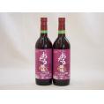 生葡萄酒 日本産葡萄100%使用 おたる醸造 キャンベルアーリ辛口赤ワイン(北海道)720ml×2