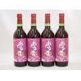 生葡萄酒 日本産葡萄100%使用 おたる醸造 キャンベルアーリ辛口赤ワイン(北海道)720ml×4